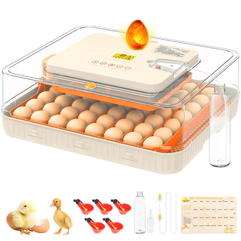 APODESS 56-egg incubator LCD display shows precise temperature and humidity.