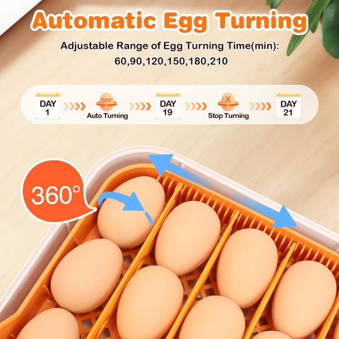 APODESS automatic egg turner evenly rotates eggs.