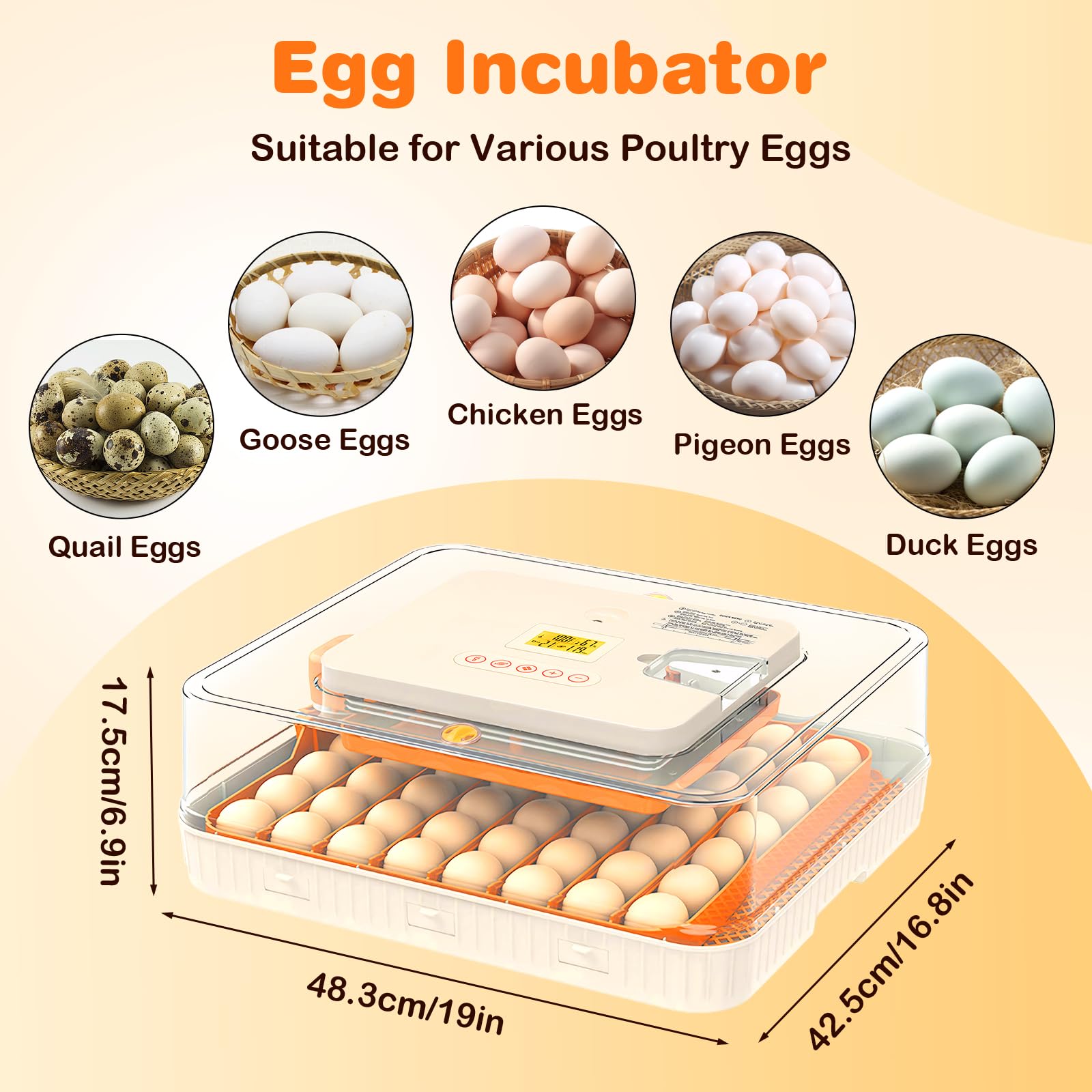 APODESS LED display enables easy monitoring of incubation conditions.
