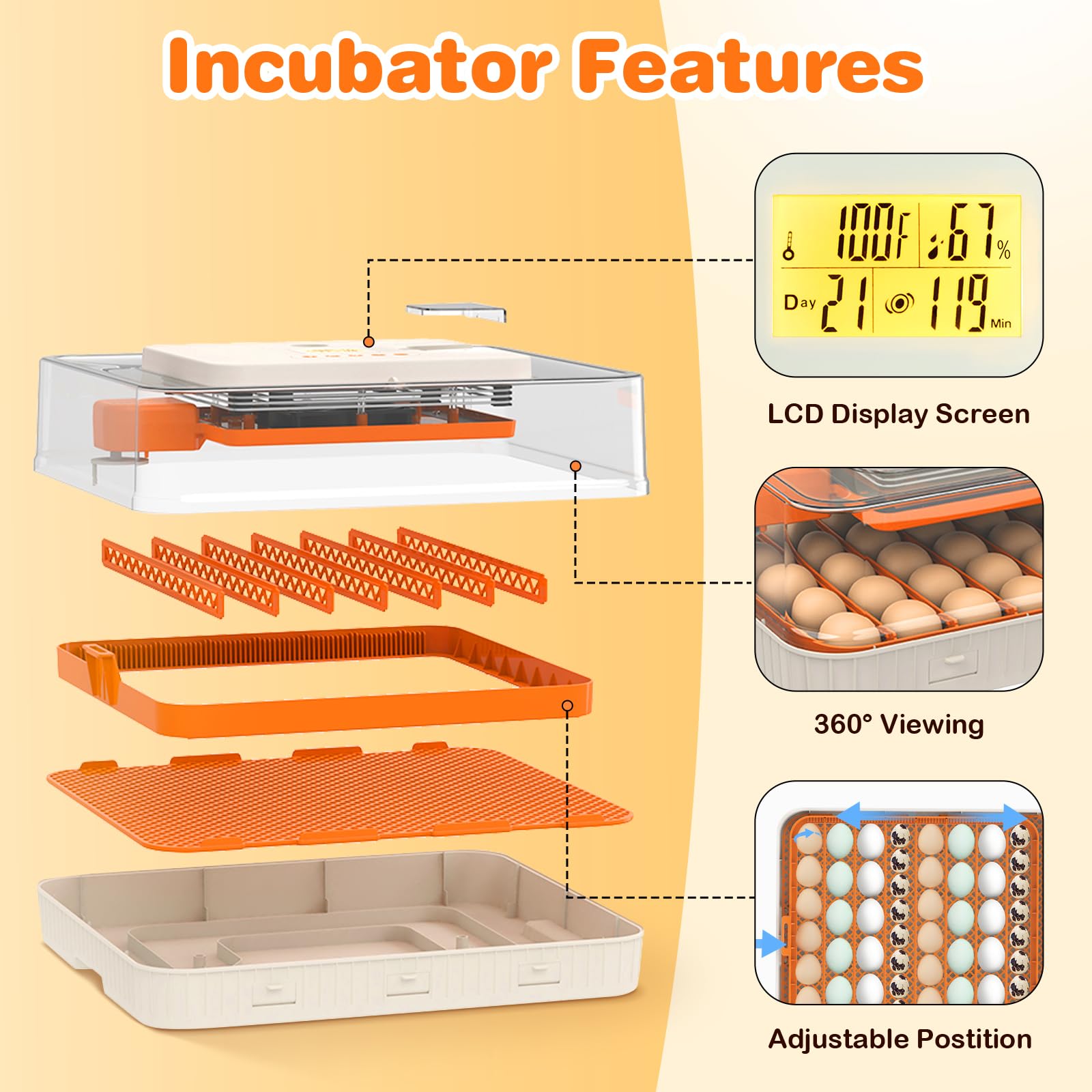 APODESS versatile incubator for chicken, duck, goose eggs in home or school.