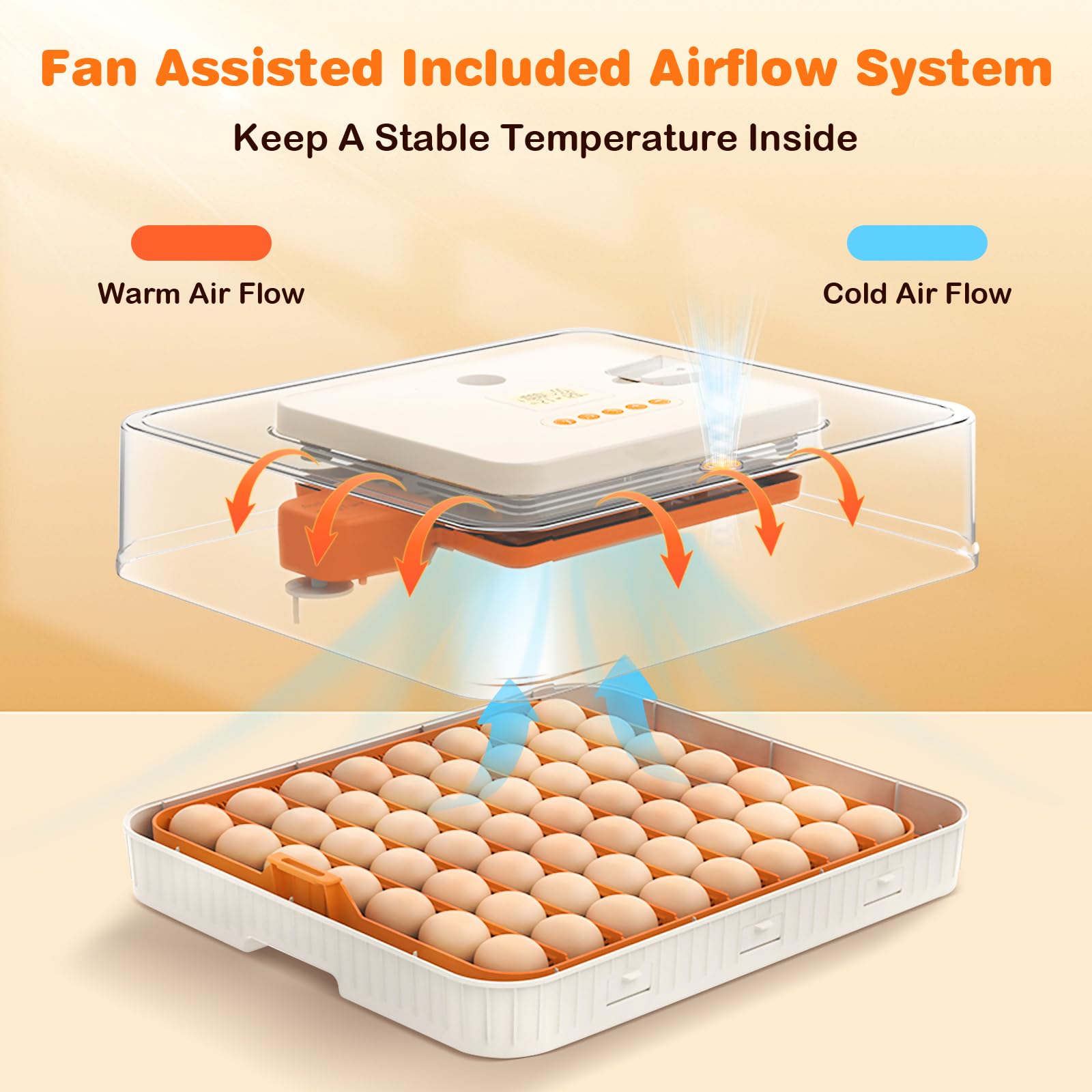 APODESS temperature and humidity control with alarm keeps incubation conditions stable.