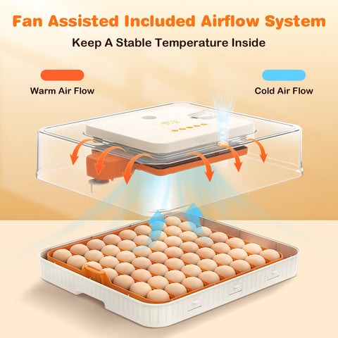 APODESS temperature and humidity control with alarm keeps incubation conditions stable.