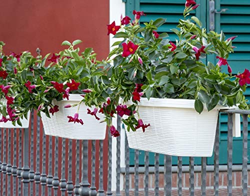 Lower leveling foot keeps AP-30312 planter level on uneven surfaces.