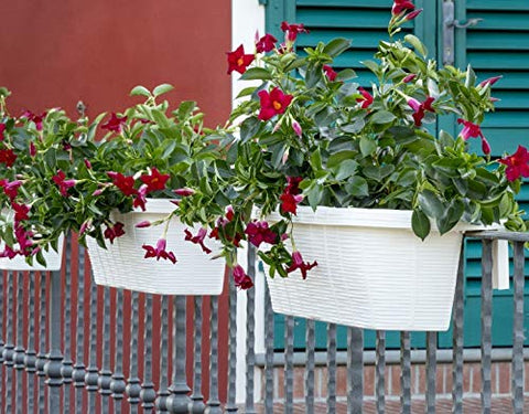 Lower leveling foot keeps AP-30312 planter level on uneven surfaces.
