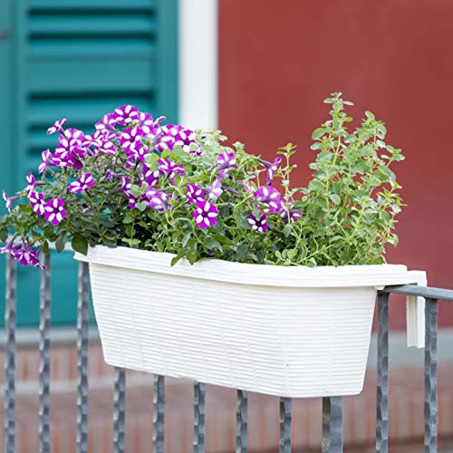 AP-30312 water reservoir shows 6 cups capacity for easy watering.