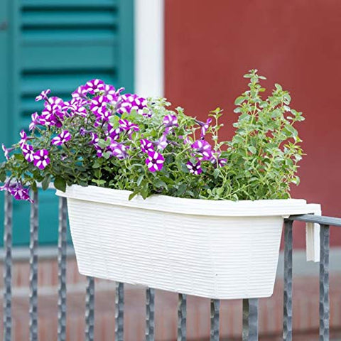 AP-30312 water reservoir shows 6 cups capacity for easy watering.