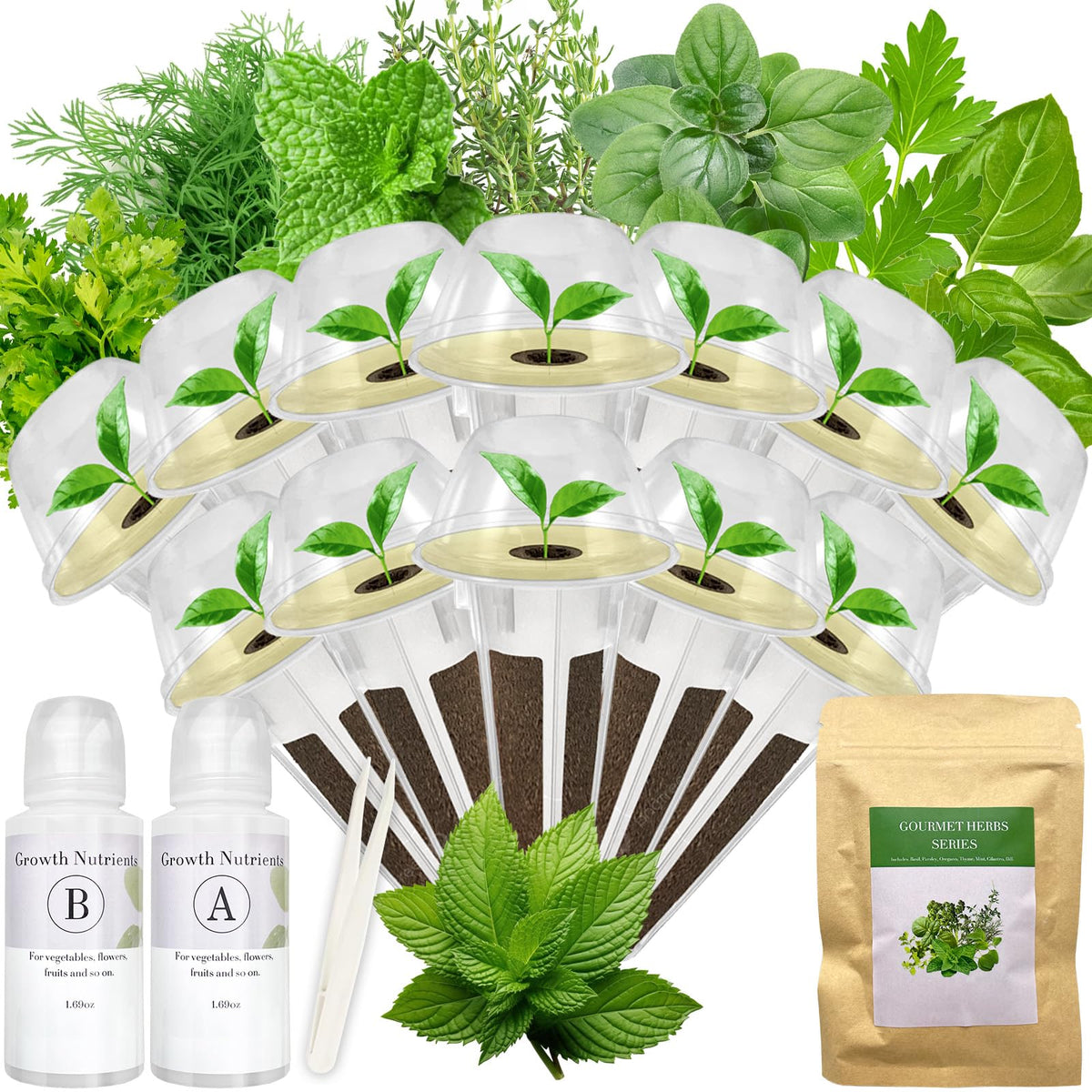 Apoloseedic Basil seed pod kit for hydroponics—fresh basil for quick meals.