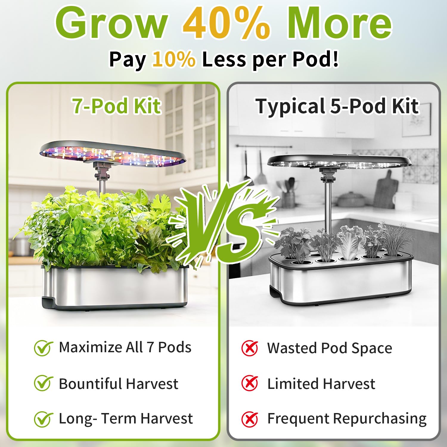 Apoloseedic Cilantro seed pod kit—vibrant cilantro for salsas.