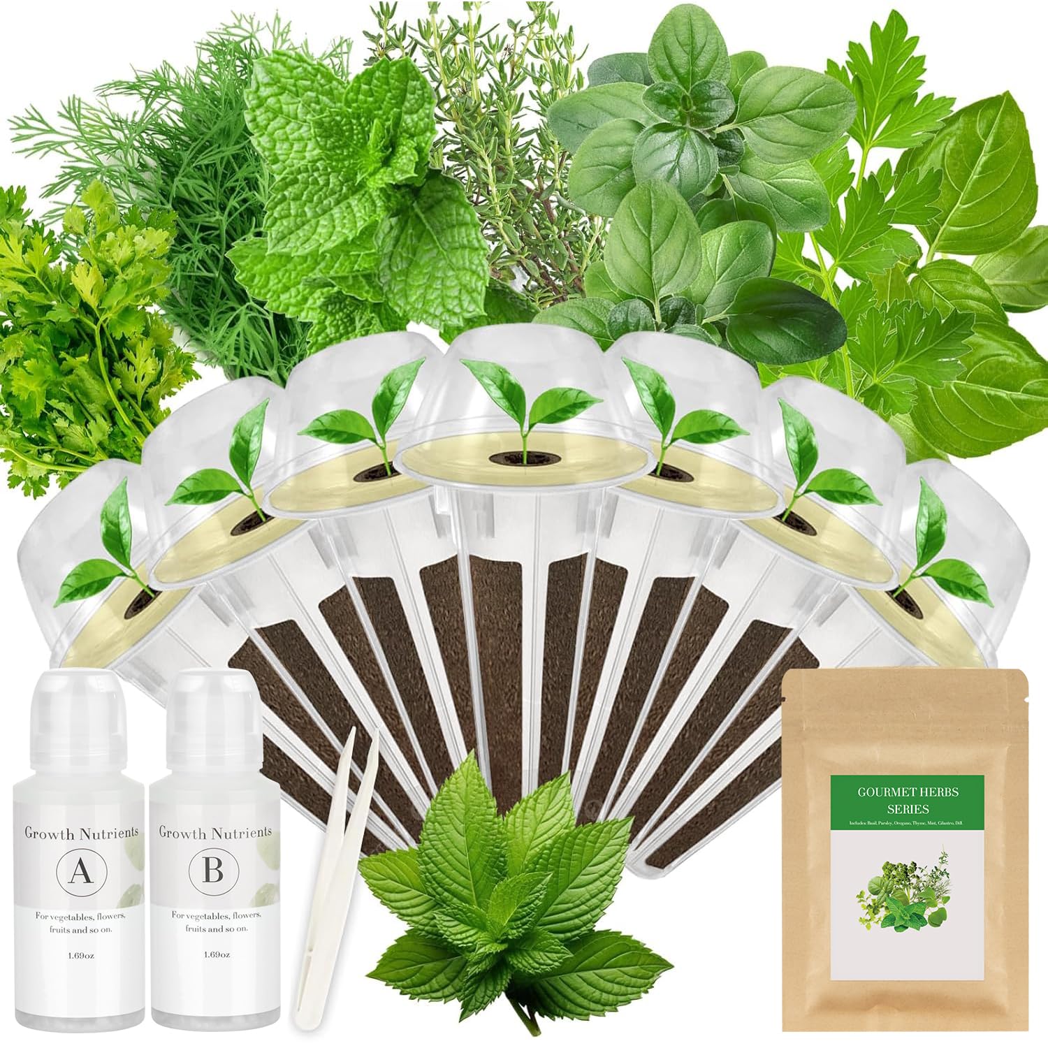 Apoloseedic Gourmet Herb Seed Pod Kit contents laid out for quick hydroponic setup.