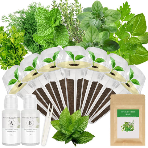Apoloseedic Gourmet Herb Seed Pod Kit contents laid out for quick hydroponic setup.