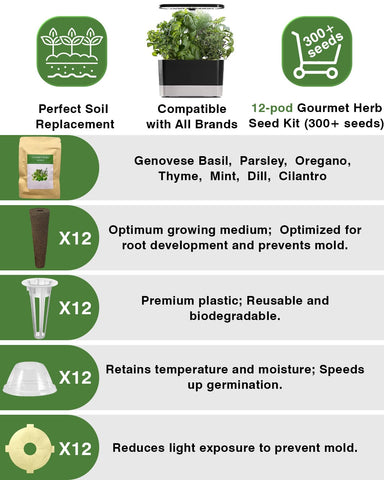 Apoloseedic Mint seed pod kit—refreshing herb for drinks.