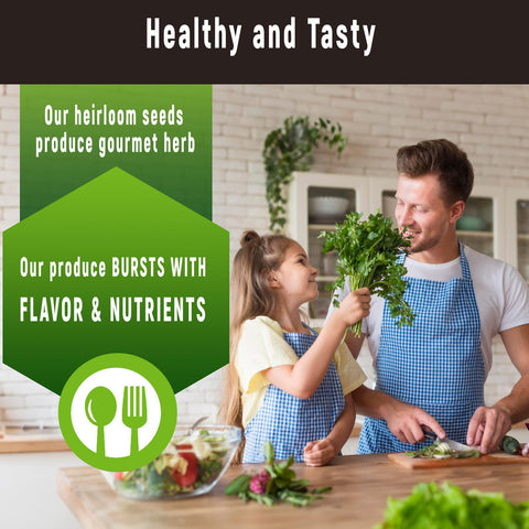 Apoloseedic Oregano seed pod kit—robust herb for Italian dishes.