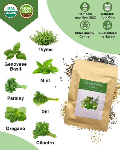 Apoloseedic Parsley seed pod kit for hydroponics—bright garnish year-round.