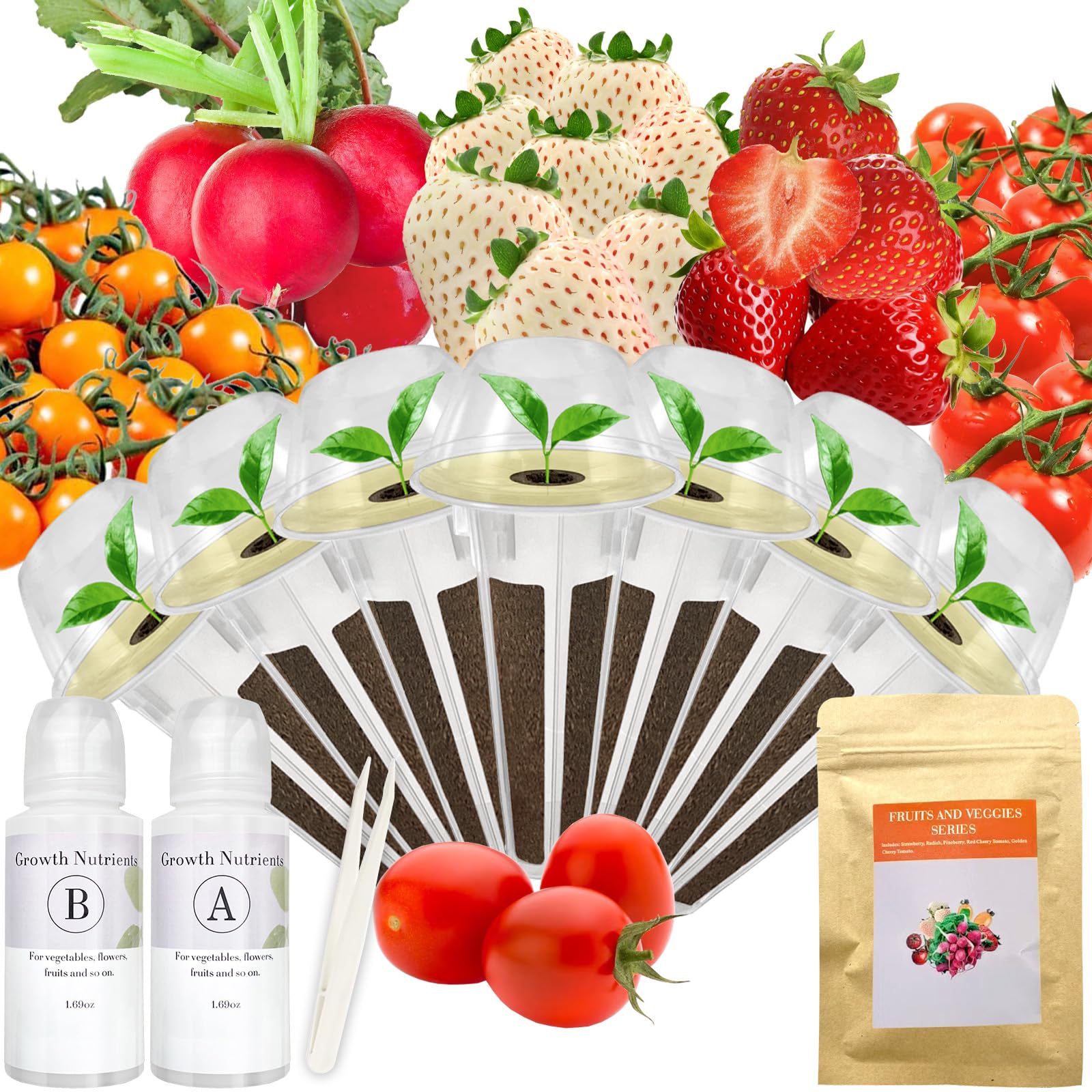 Apoloseedic red strawberry seed pod kit ready for hydroponics with quick harvest potential.