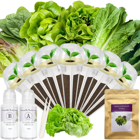Apoloseedic salad greens seed pod kit with seed pods and nutrients for easy hydroponic harvests