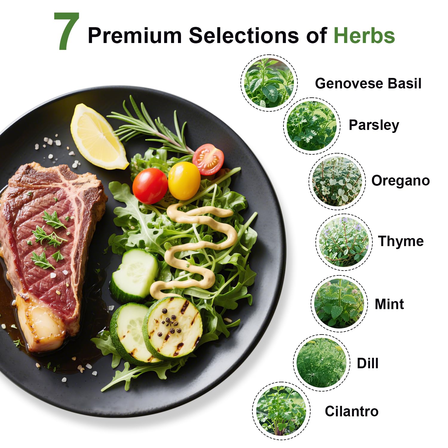 Apoloseedic seed pod sponges and domes support healthy root oxygenation.