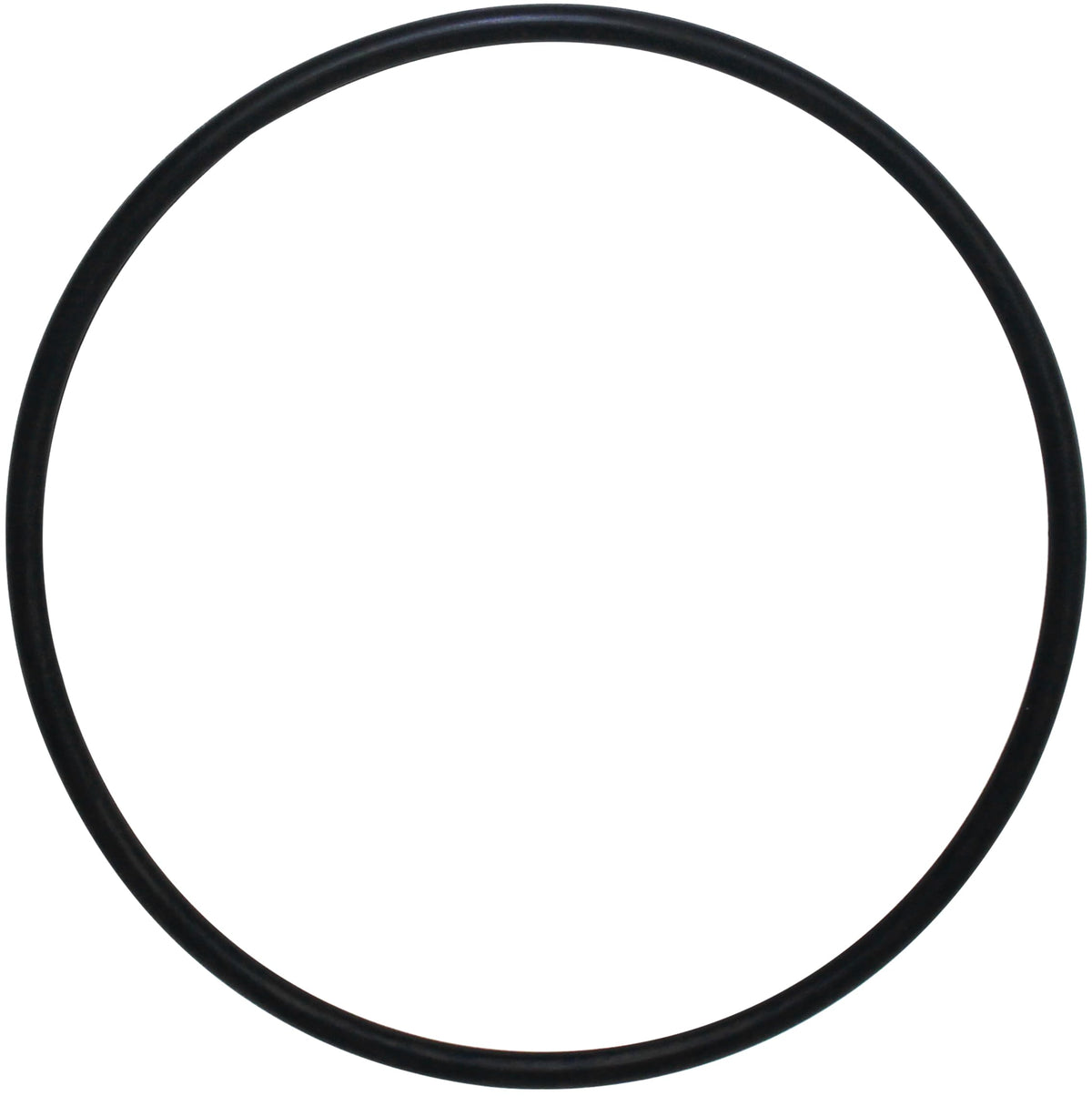 AppliaFit O-ring for Hayward GMX600F compatibility, restoring filter seal efficiency.