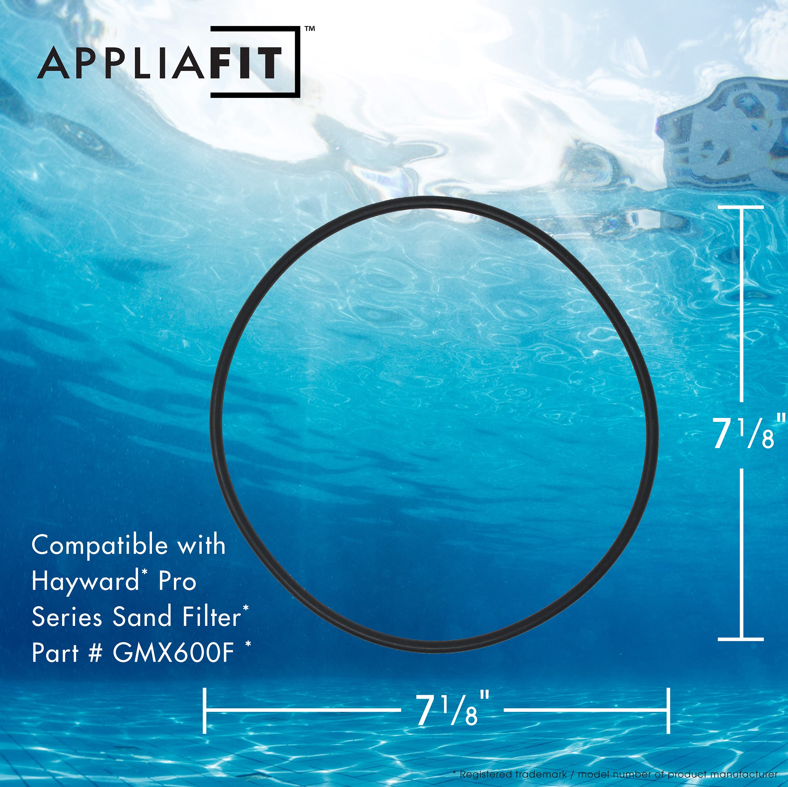 AppliaFit O-ring for Pro Series S140T, durable seal for reliable filtration.