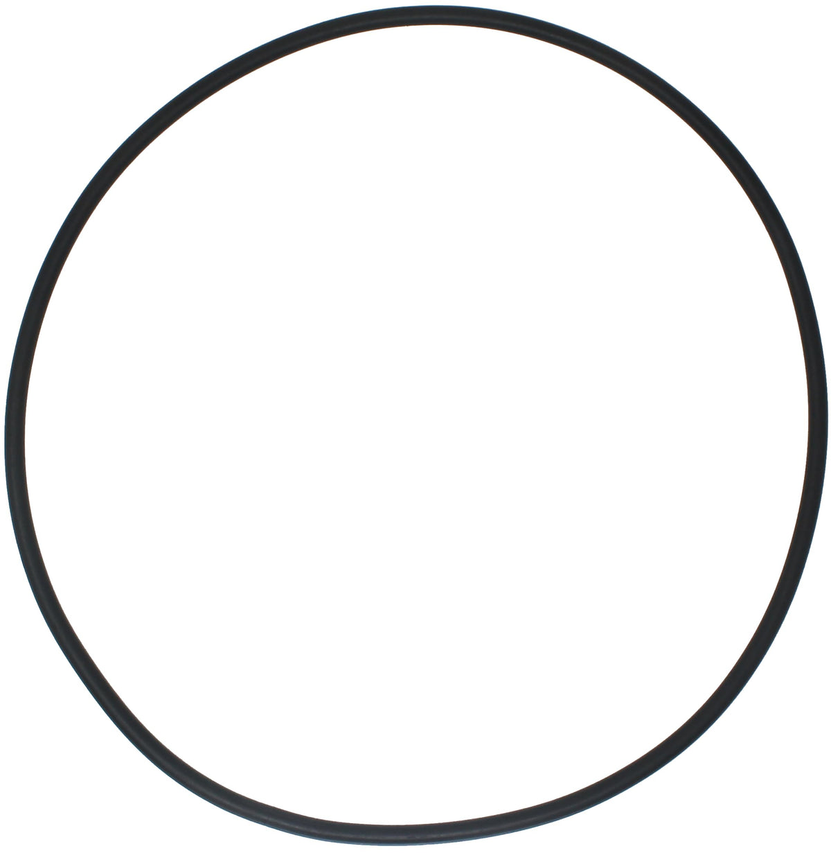 AppliaFit Tank Top O-Ring compatible with Jandy R0462700 ensures a tight seal.