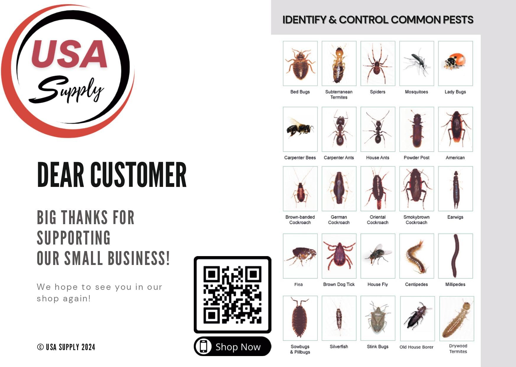 Application setup showing Bedlam Plus and gloves for bed bug treatment.
