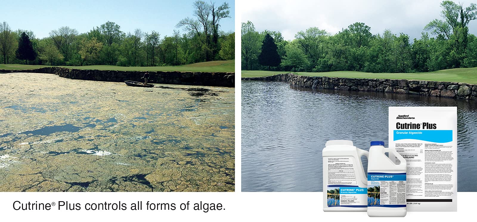 Applied Biochemists Cutrine-Plus granules applied directly to algae for quick suppression.