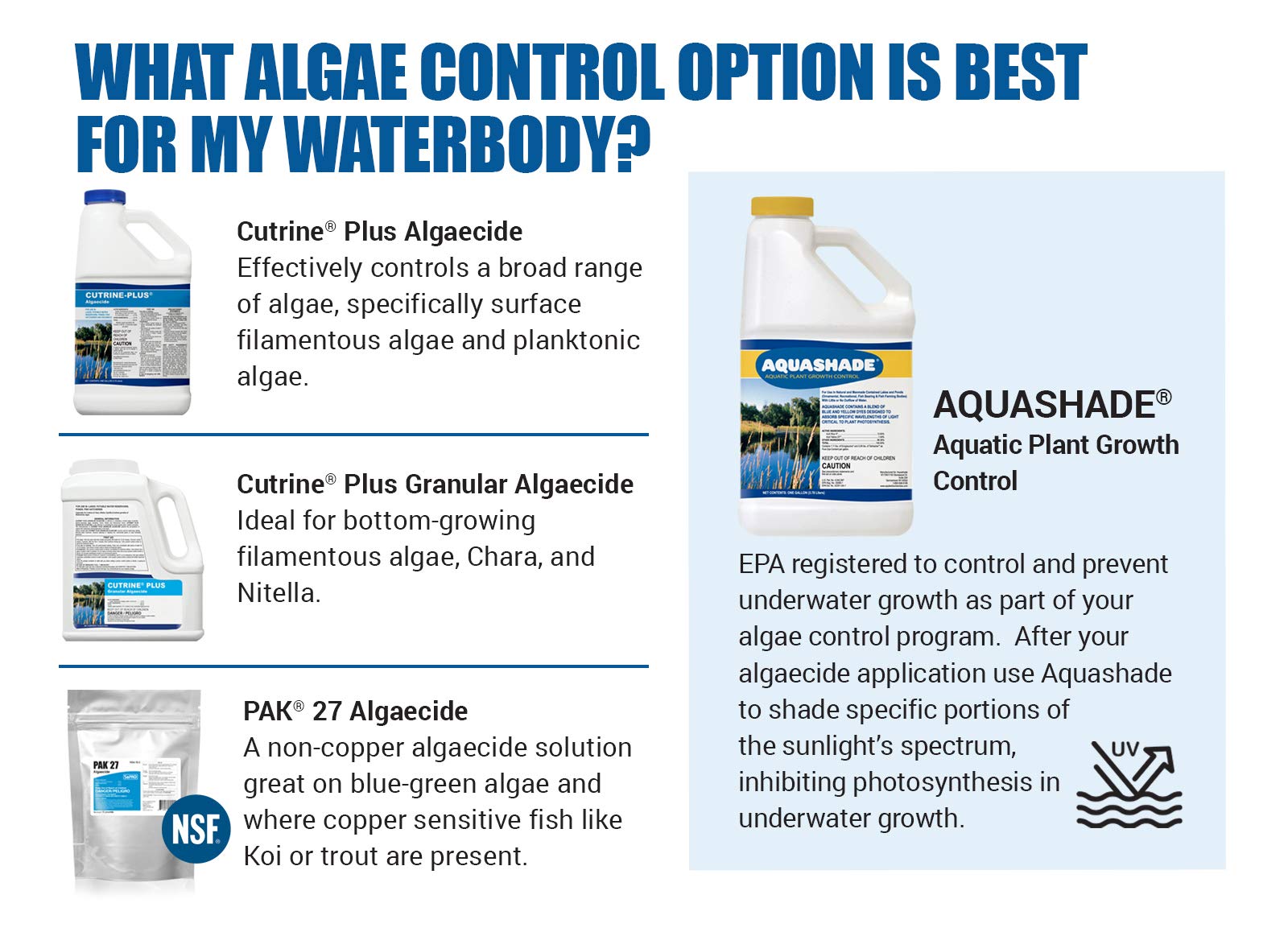 Applied Biochemists Cutrine-Plus after-treatment pond clarity visualization