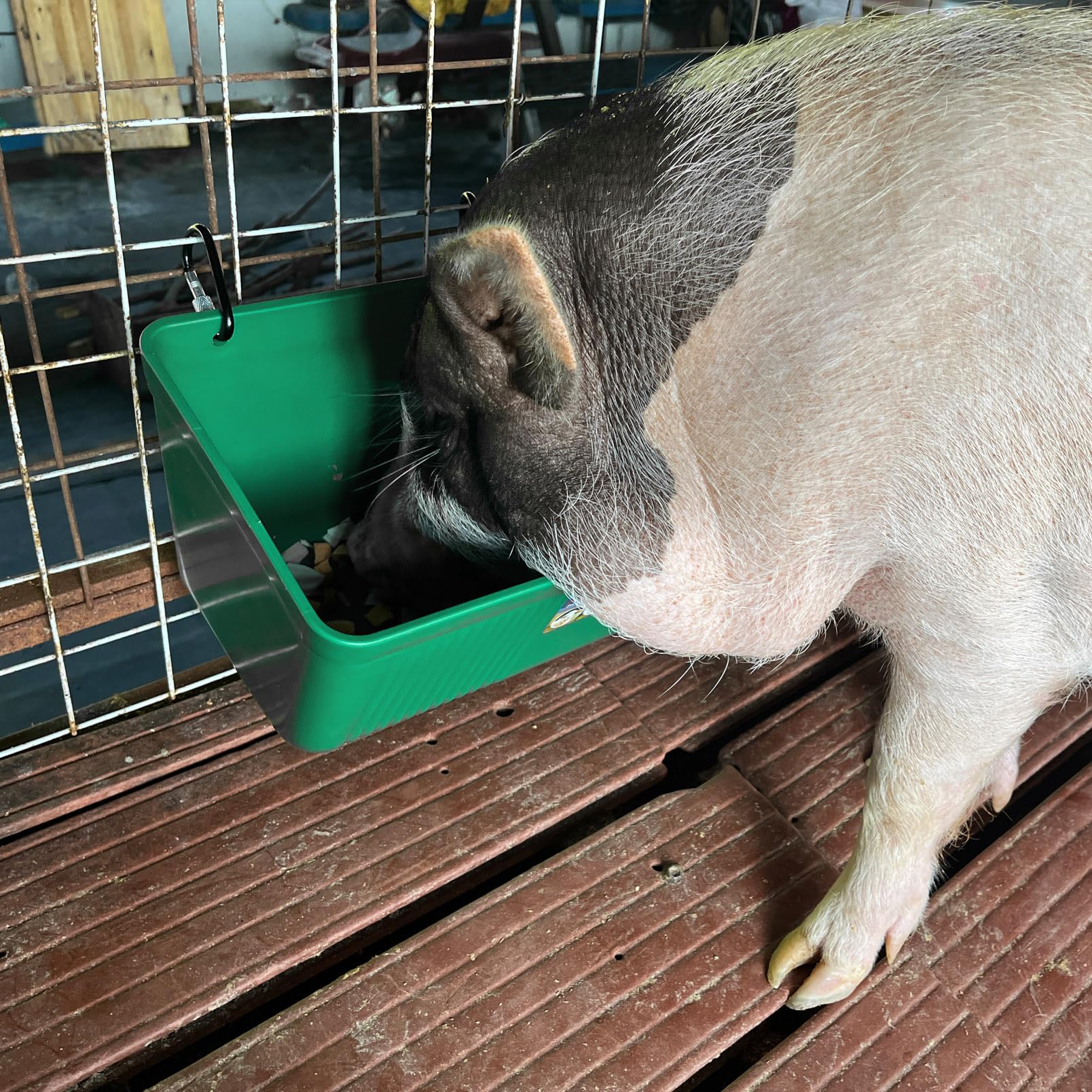 APRICOCK waste-minimizing feeding reduces spillage and waste.