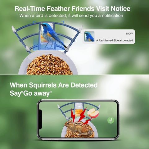 Aprilmin AI identification highlights bird species during visits