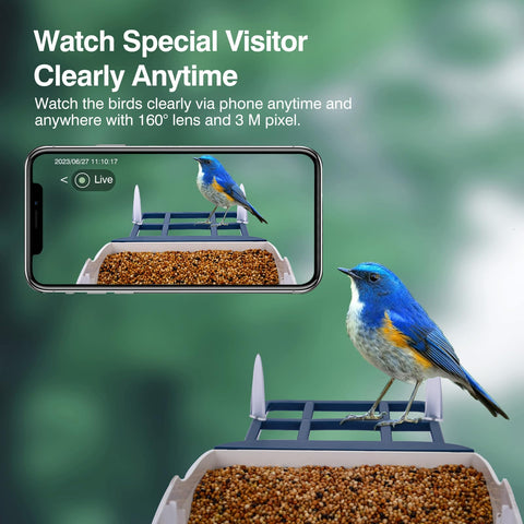 Aprilmin bird arrival notifications keep you updated on visits in real time.