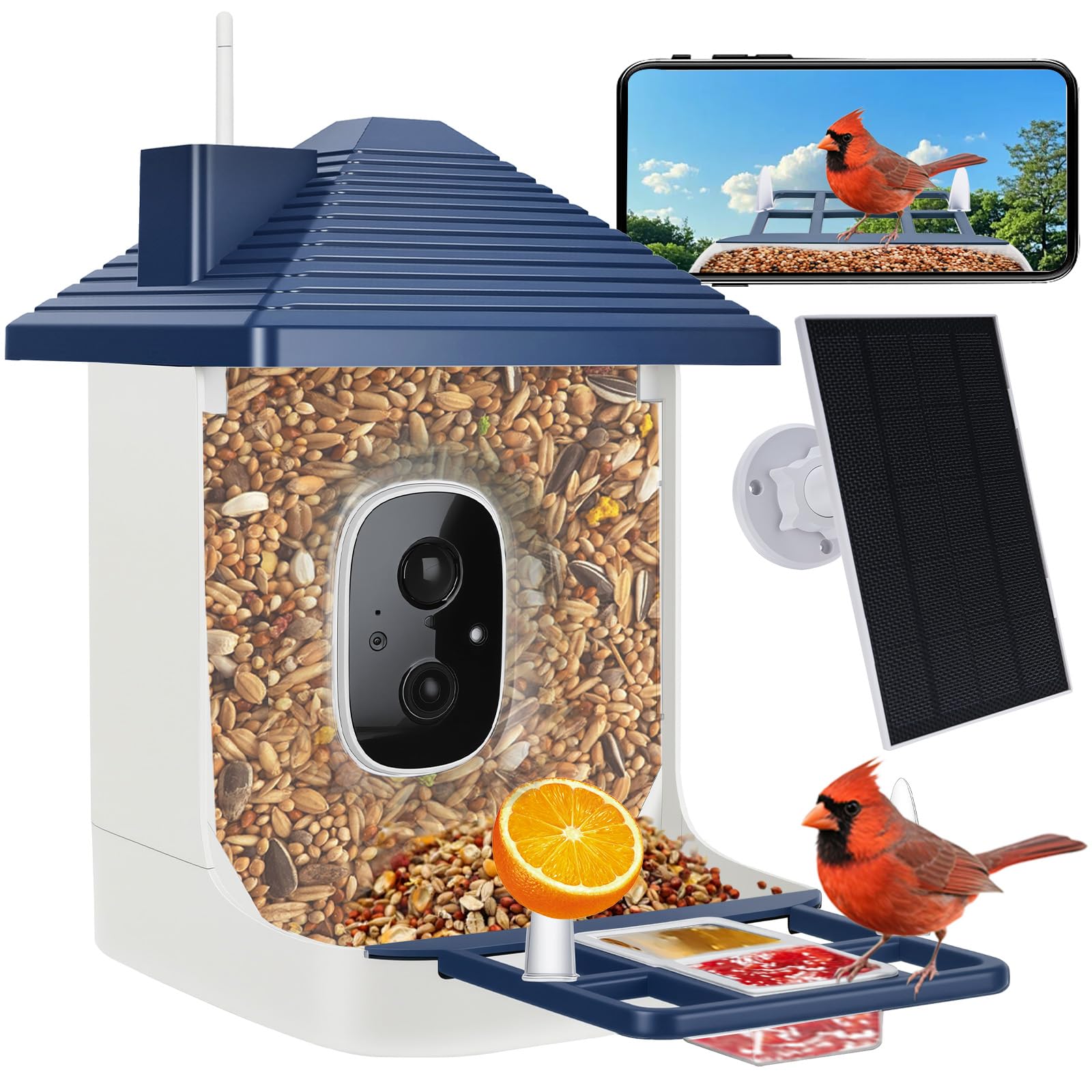 Aprilmin Indigo blue housing supports stylish outdoor bird watching.