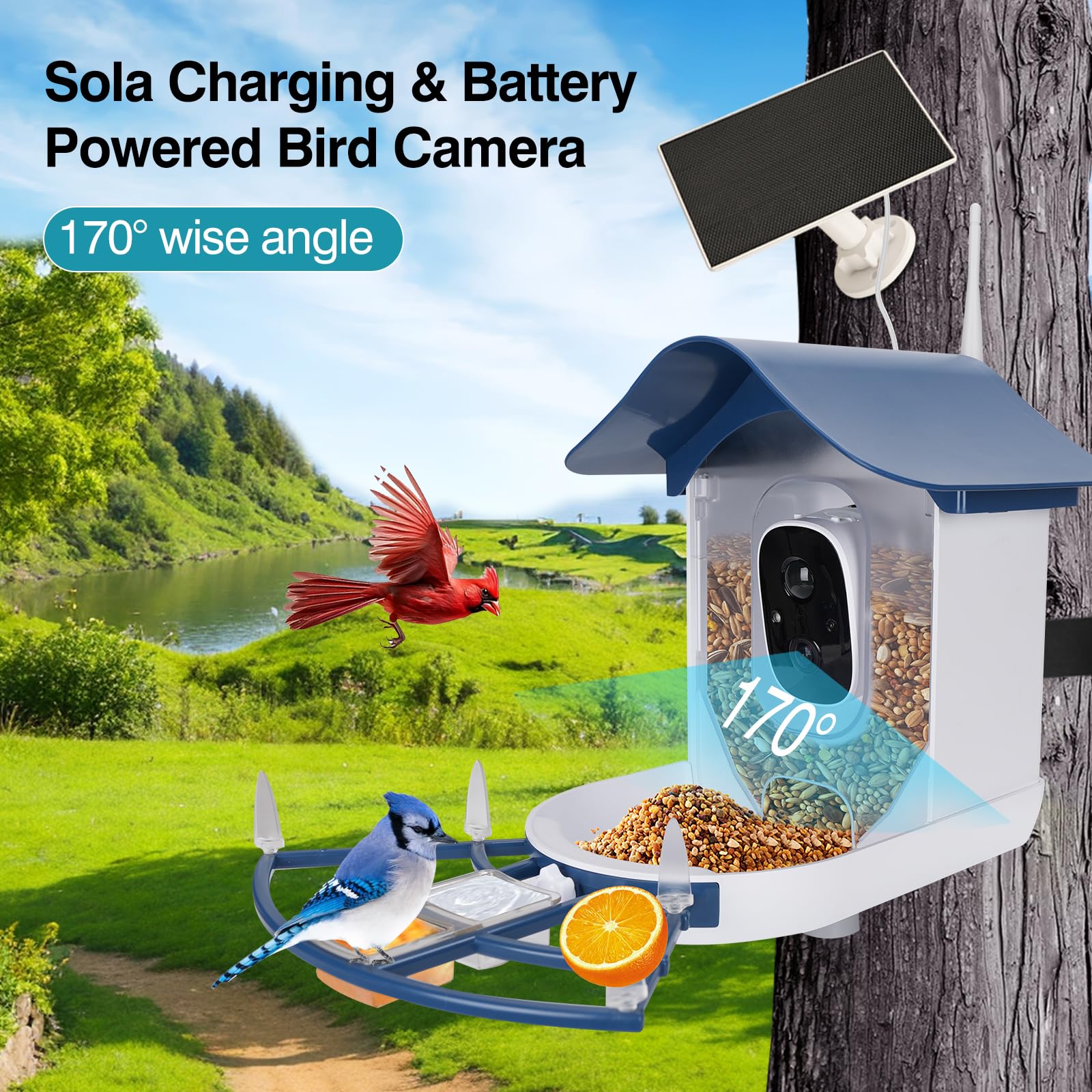 Aprilmin 2K bird camera captures visiting birds with crisp detail