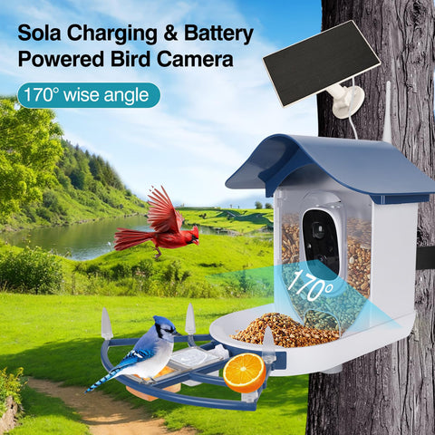 Aprilmin 2K bird camera captures visiting birds with crisp detail
