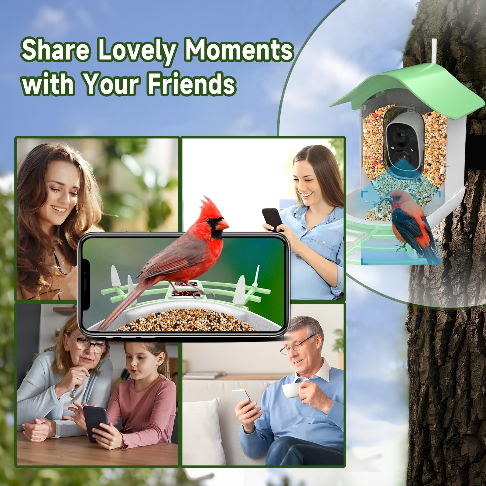 Aprilmin 2K video frame captures visiting birds near the feeder.