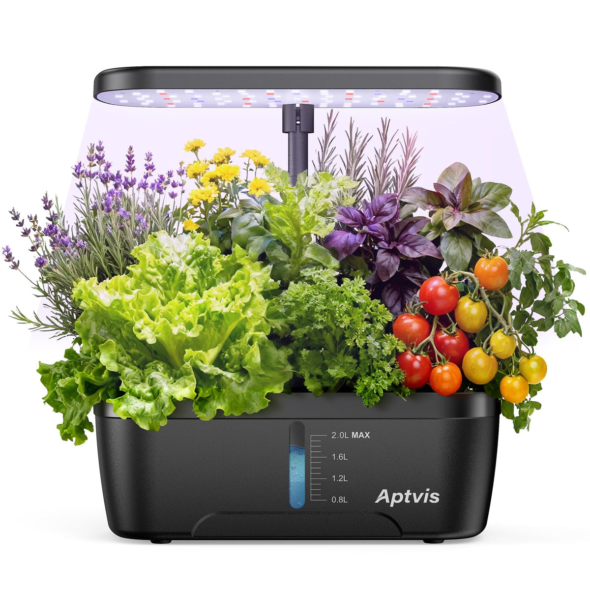 Aptvis hydroponics system on a kitchen counter with fresh herbs