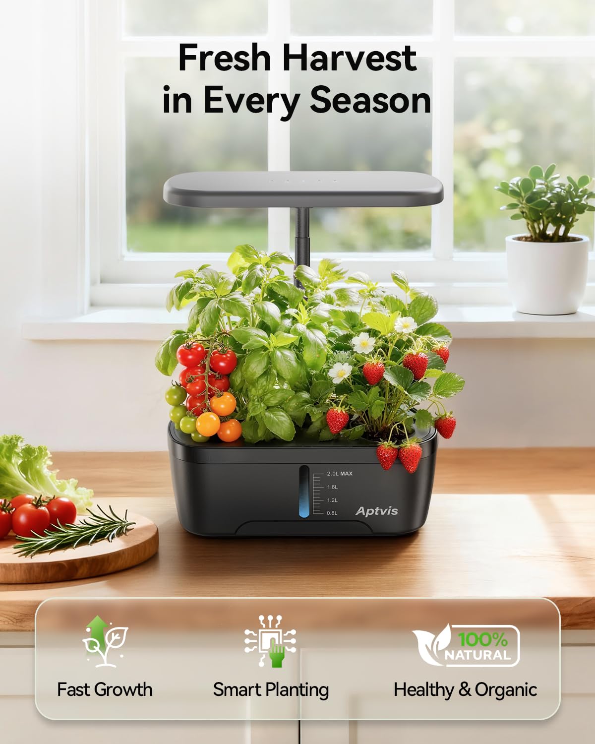 Aptvis full-spectrum LED grow light provides balanced illumination for thriving herbs