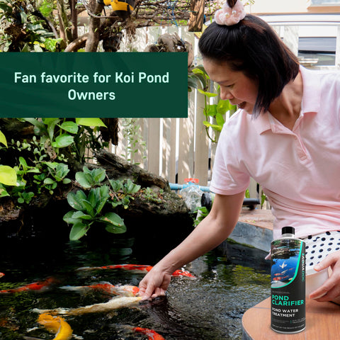 AquaDoc clear water experience enhances pond aesthetics.