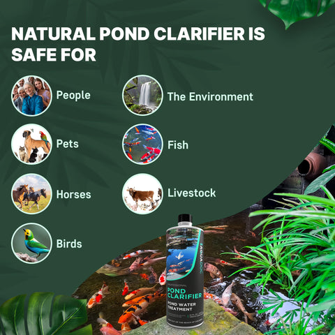 AquaDoc pond water clarifier enzyme formula supports clearer water.