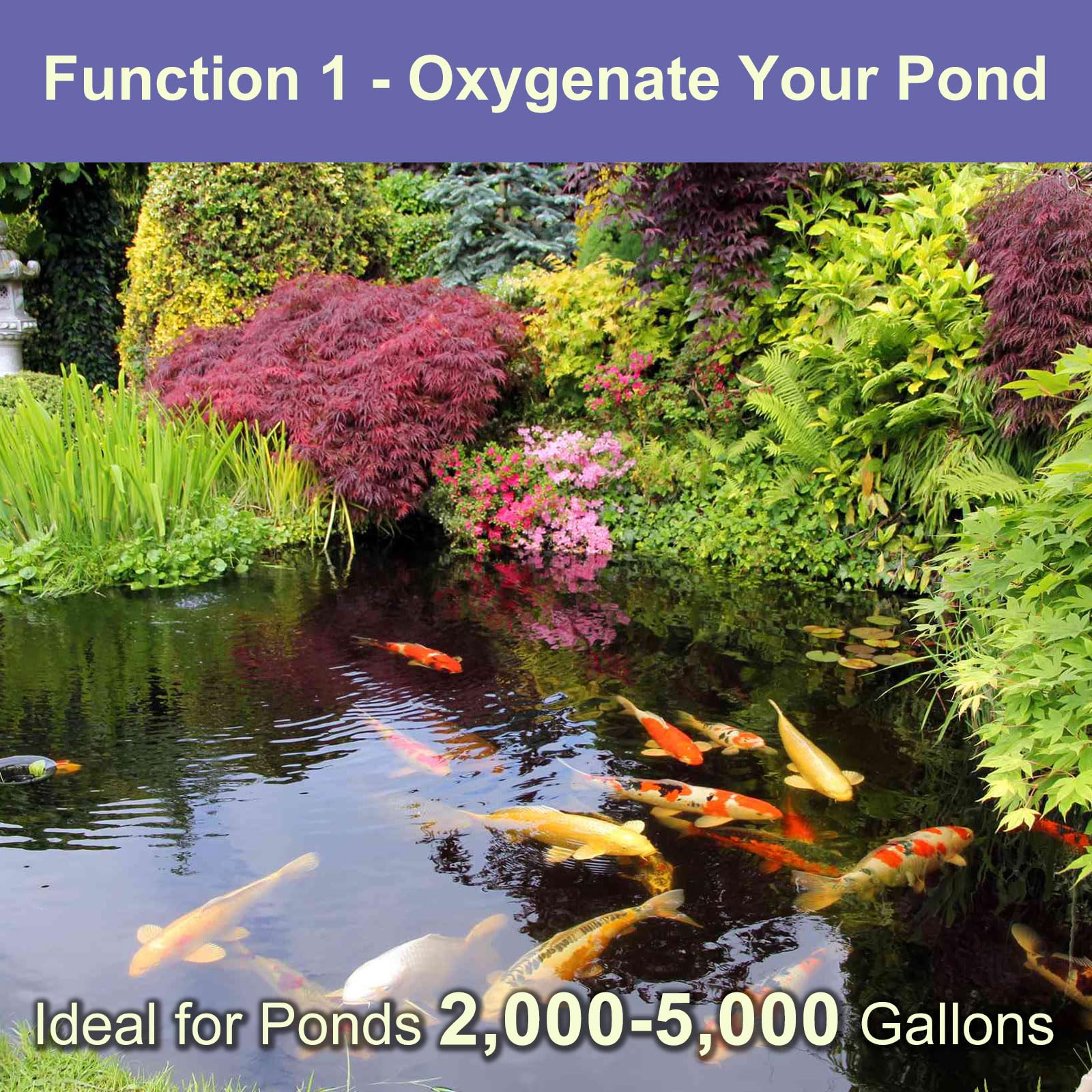 Aquamiracle flow regulator enables precise aeration control.