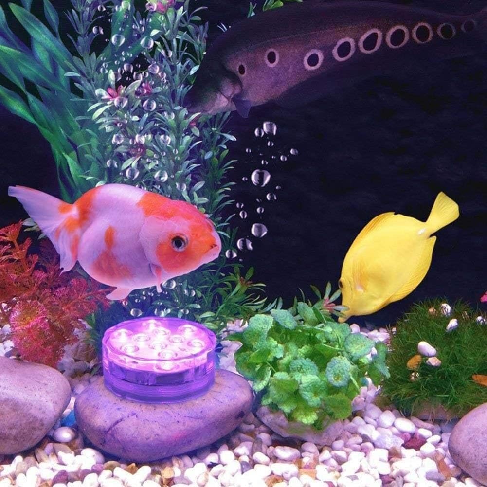 AquaMiracle versatile indoor and outdoor decorative lighting for events.