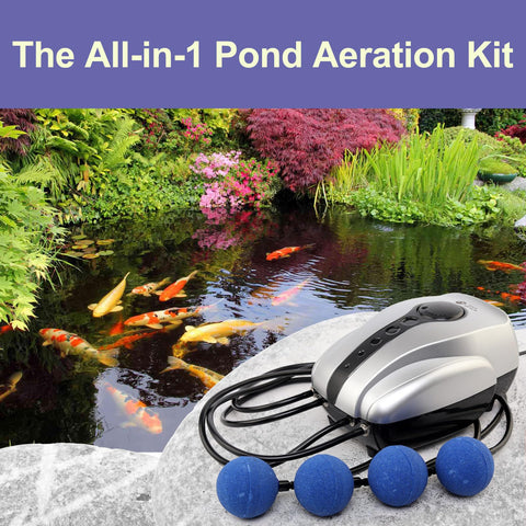 AquaMiracle four-outlet aerator with air stones for even oxygenation
