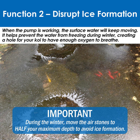 AquaMiracle quiet aerator design minimizes vibration for tranquil outdoor use.