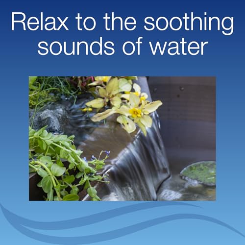 Aquascape AquaGarden Pond Kit pump and media ensure reliable water circulation