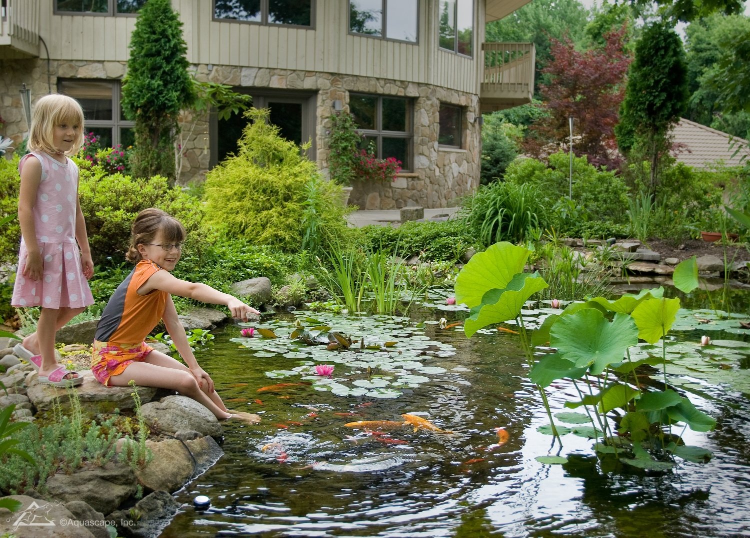 Aquascape Beneficial Bacteria Liquid includes marigold and vitamin B for fish health