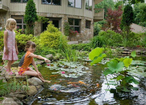 Aquascape Beneficial Bacteria Liquid includes marigold and vitamin B for fish health