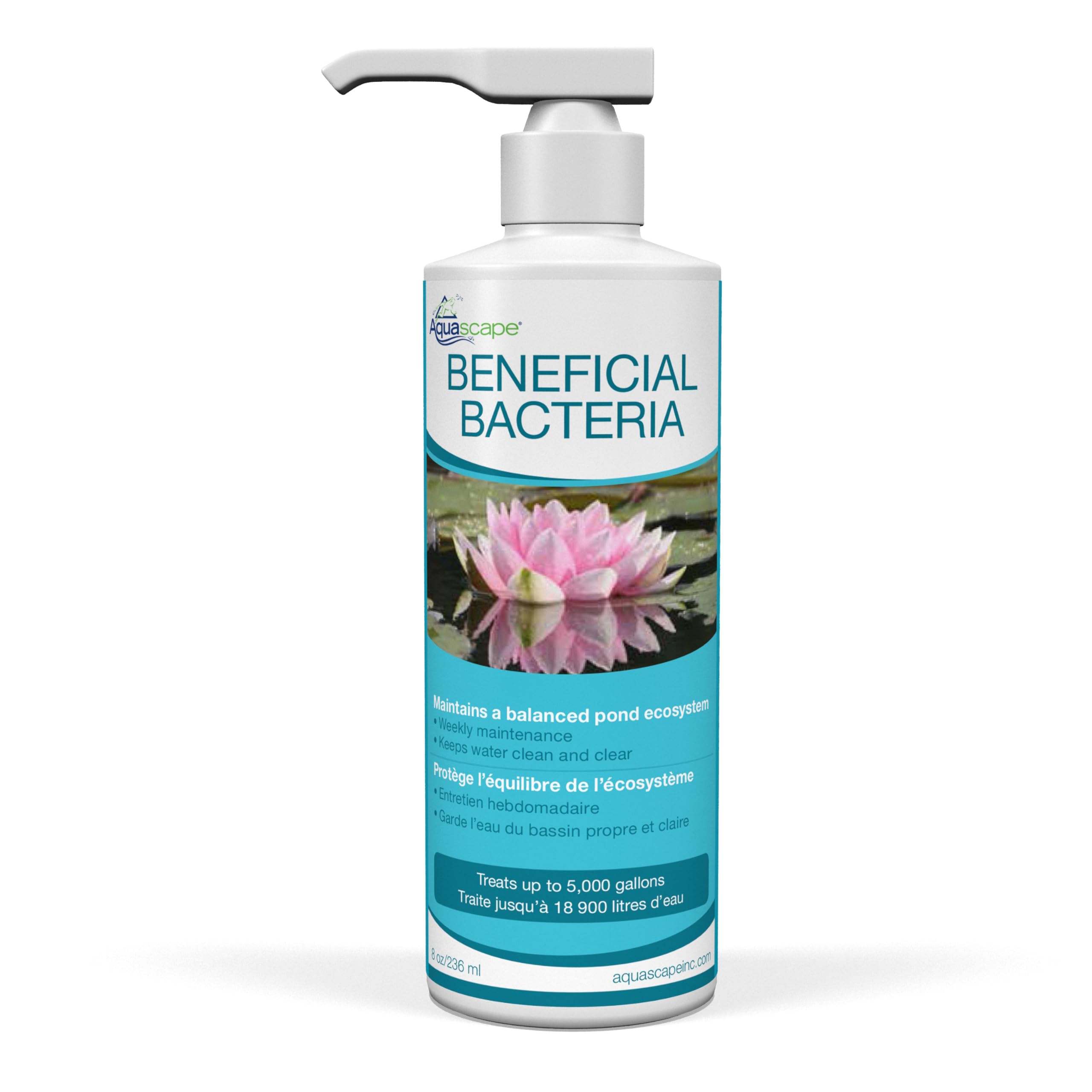 Aquascape beneficial bacteria pond bottle supports balanced pond biology.