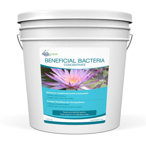 Aquascape beneficial bacteria water treatment dry supports pond clarity and balance.