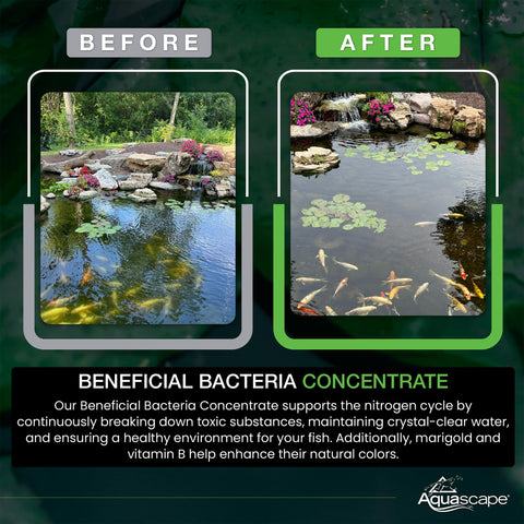Aquascape strong biological balance image communicates clean, healthy pond water.