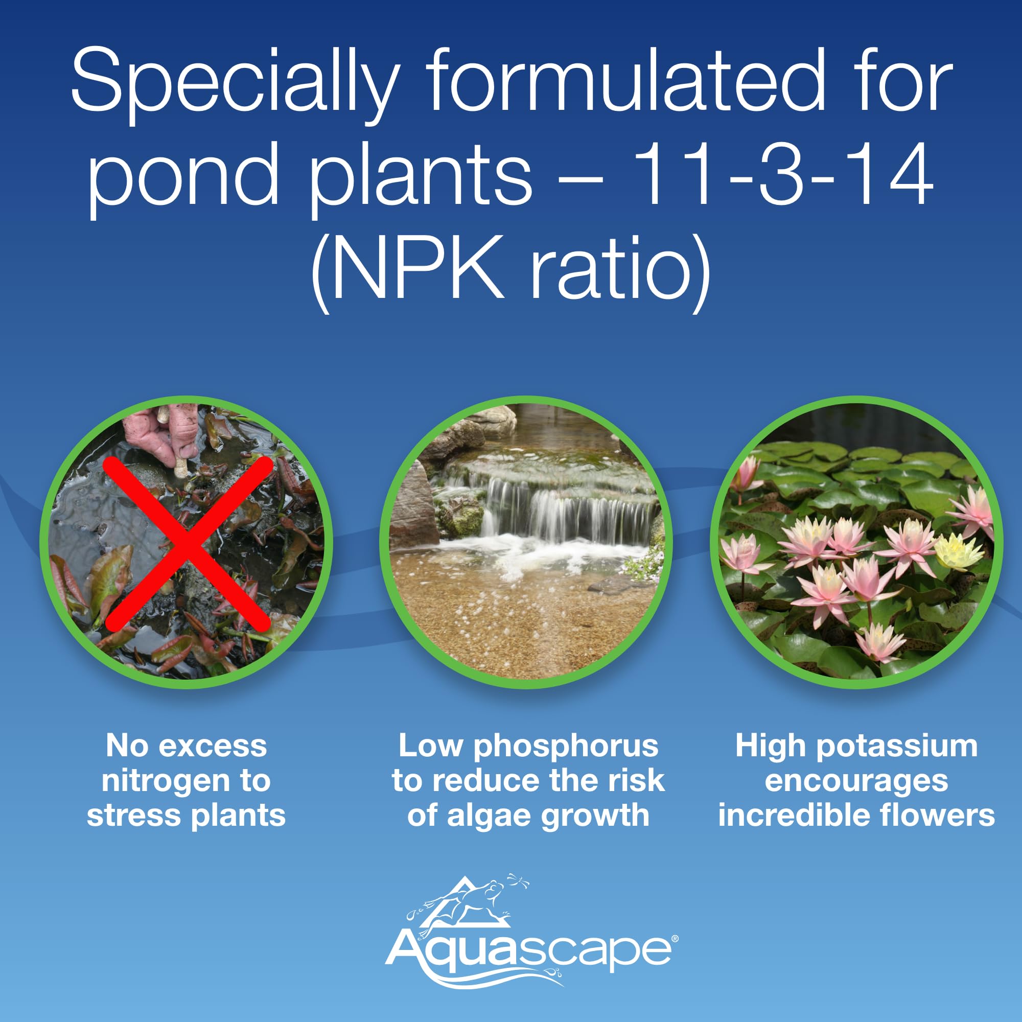Aquascape capsules easy-application ensures consistent nourishment for pond plants.