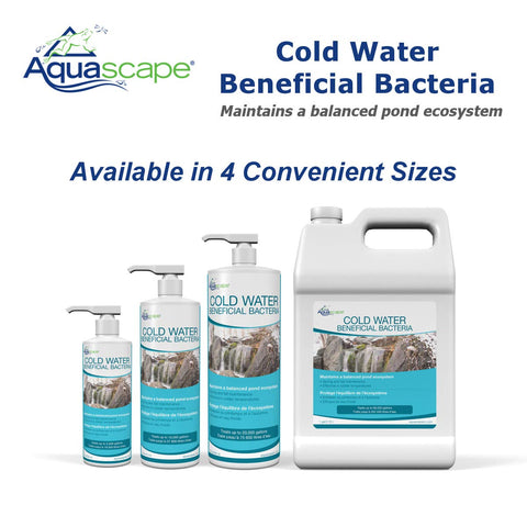 Aquascape Cold Water Bacteria safe for koi and plants in a backyard pond.