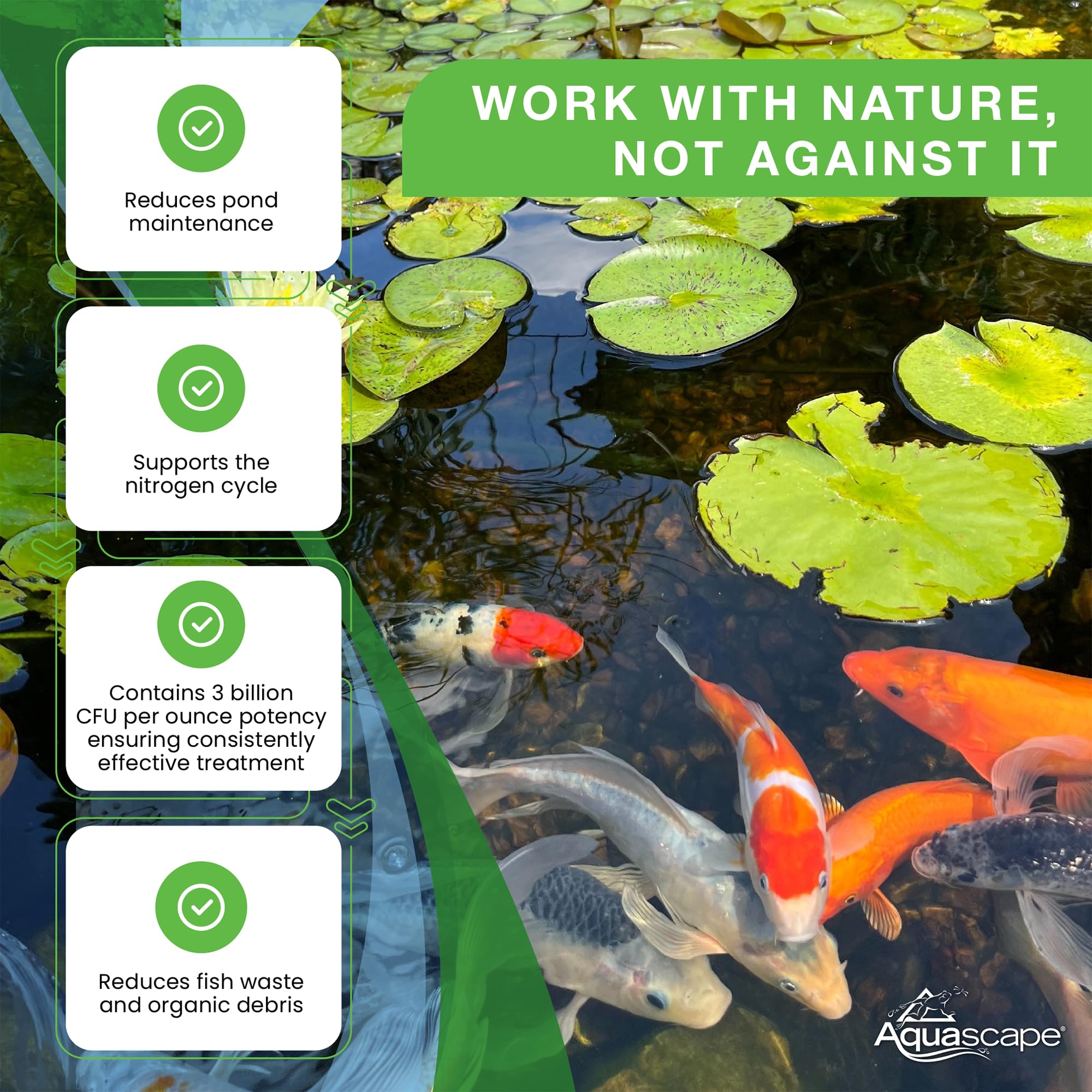 Aquascape debris clumping PSB action shows quick clarity effects.